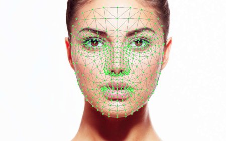 Python Face Mesh Module