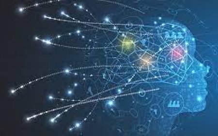 Makine Öğreniminde Verilere Giriş