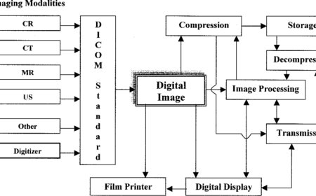 Görüntü İşleme Kavramları ve Temel Terminoloji